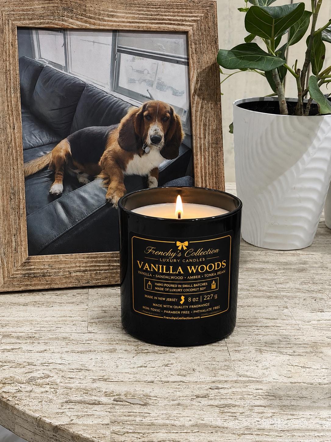 Vanilla Woods photo 4
